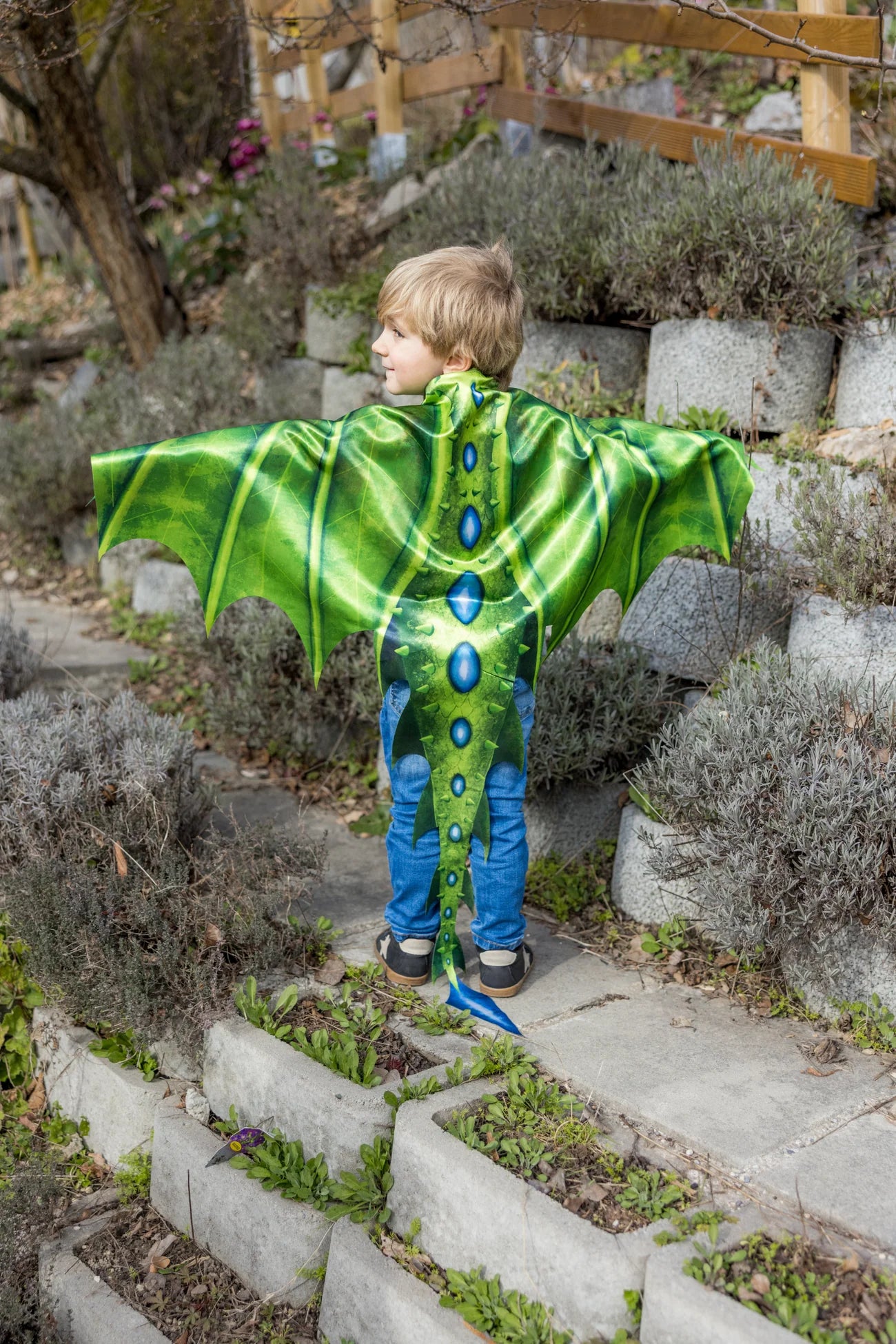 Legendary Dragon Soft Wings - Doodlebug's Children's Boutique