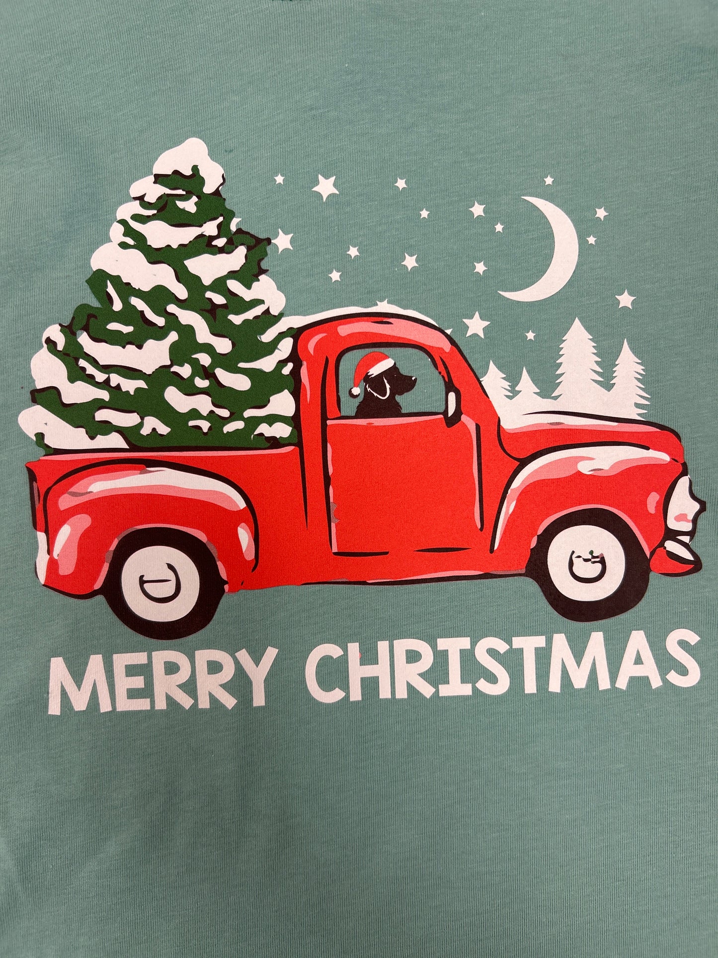 Merry Christmas Truck Long Sleeve Shirt - Doodlebug's Children's Boutique