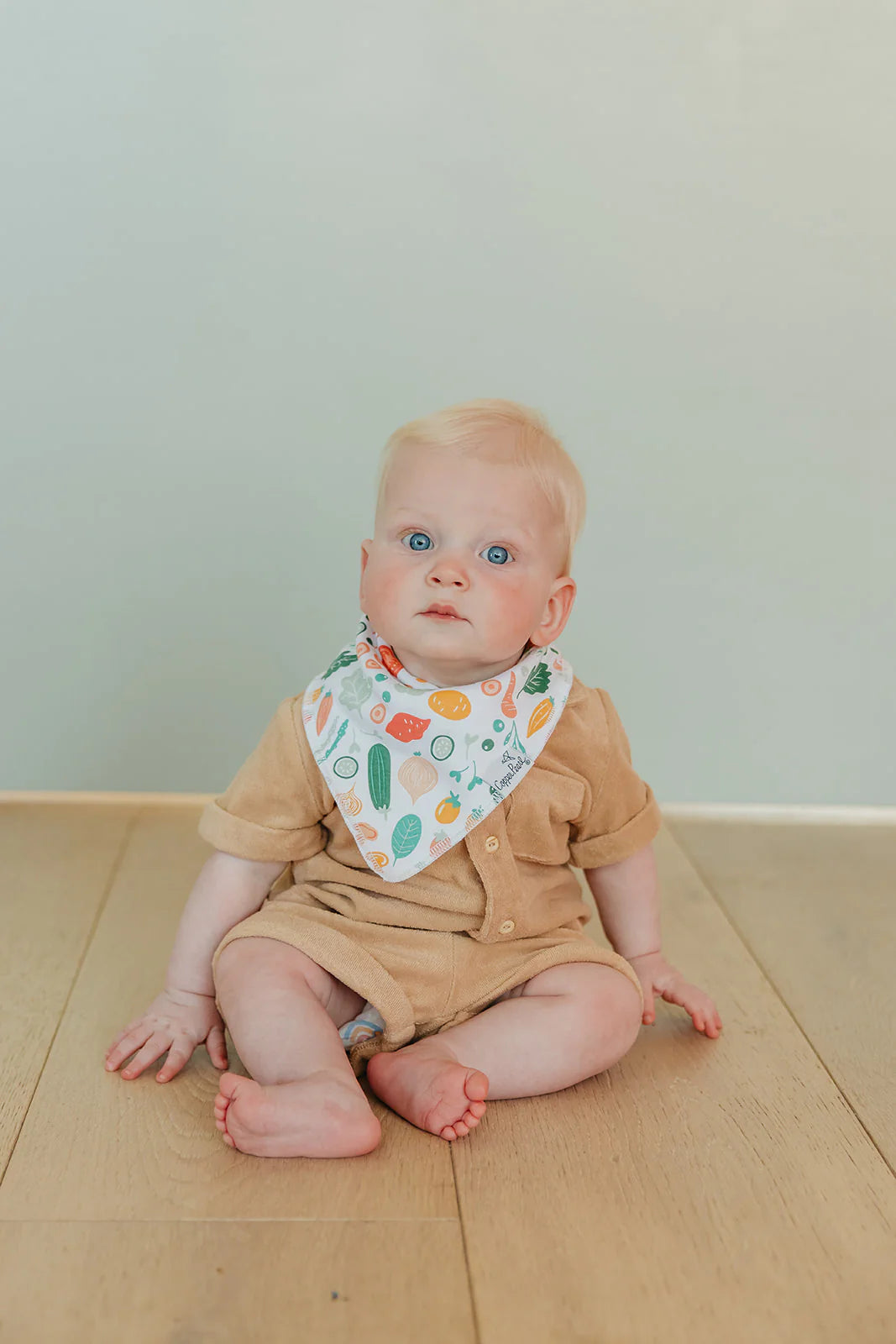 Veggies 4 Pack Bandana Bibs - Doodlebug's Children's Boutique