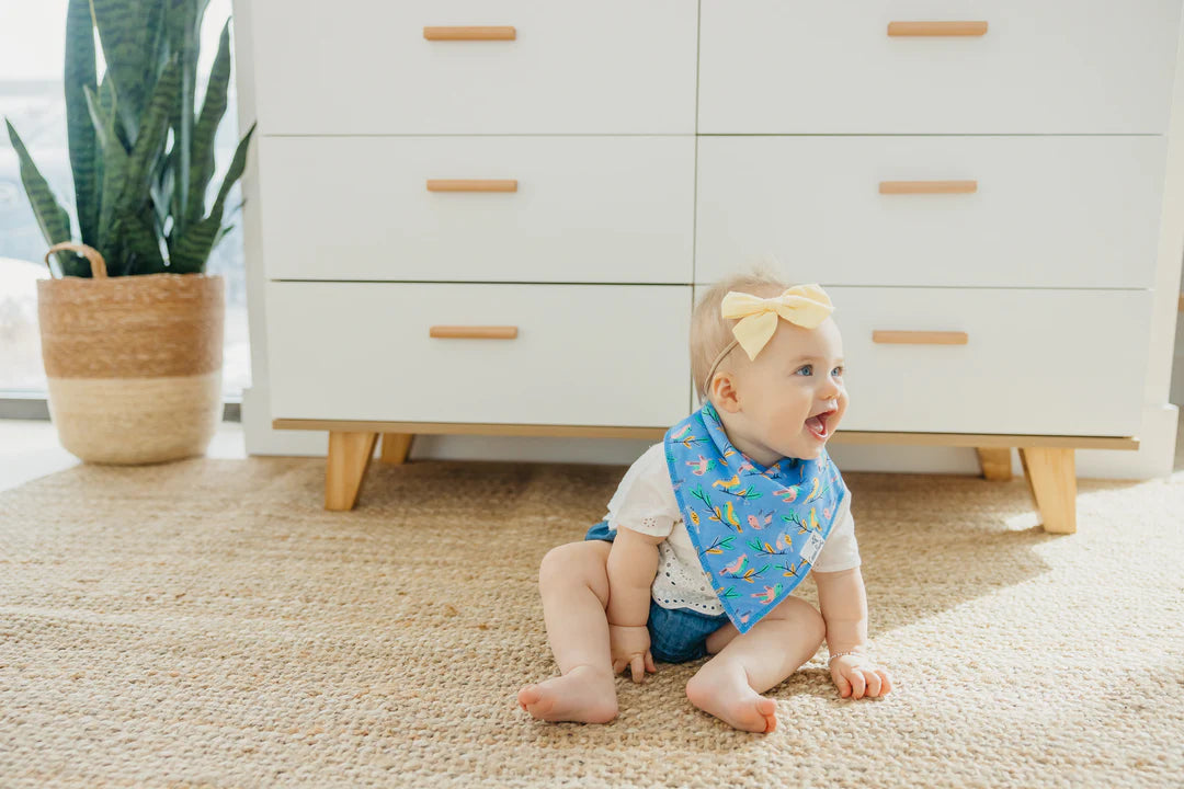 Birdie 4 Pack Bandana Bibs - Doodlebug's Children's Boutique