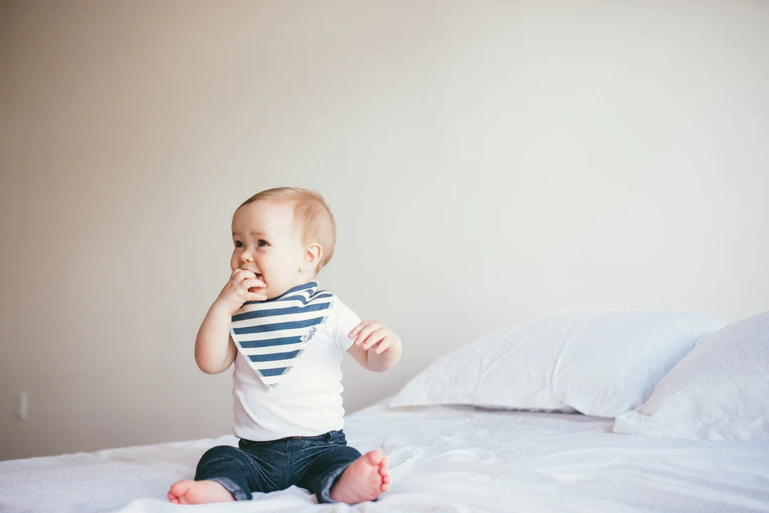 Alpine 4 Pack Bandana Bibs - Doodlebug's Children's Boutique