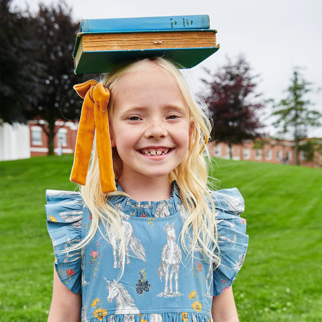 Jennifer Dress in Unicorn Field - Doodlebug's Children's Boutique