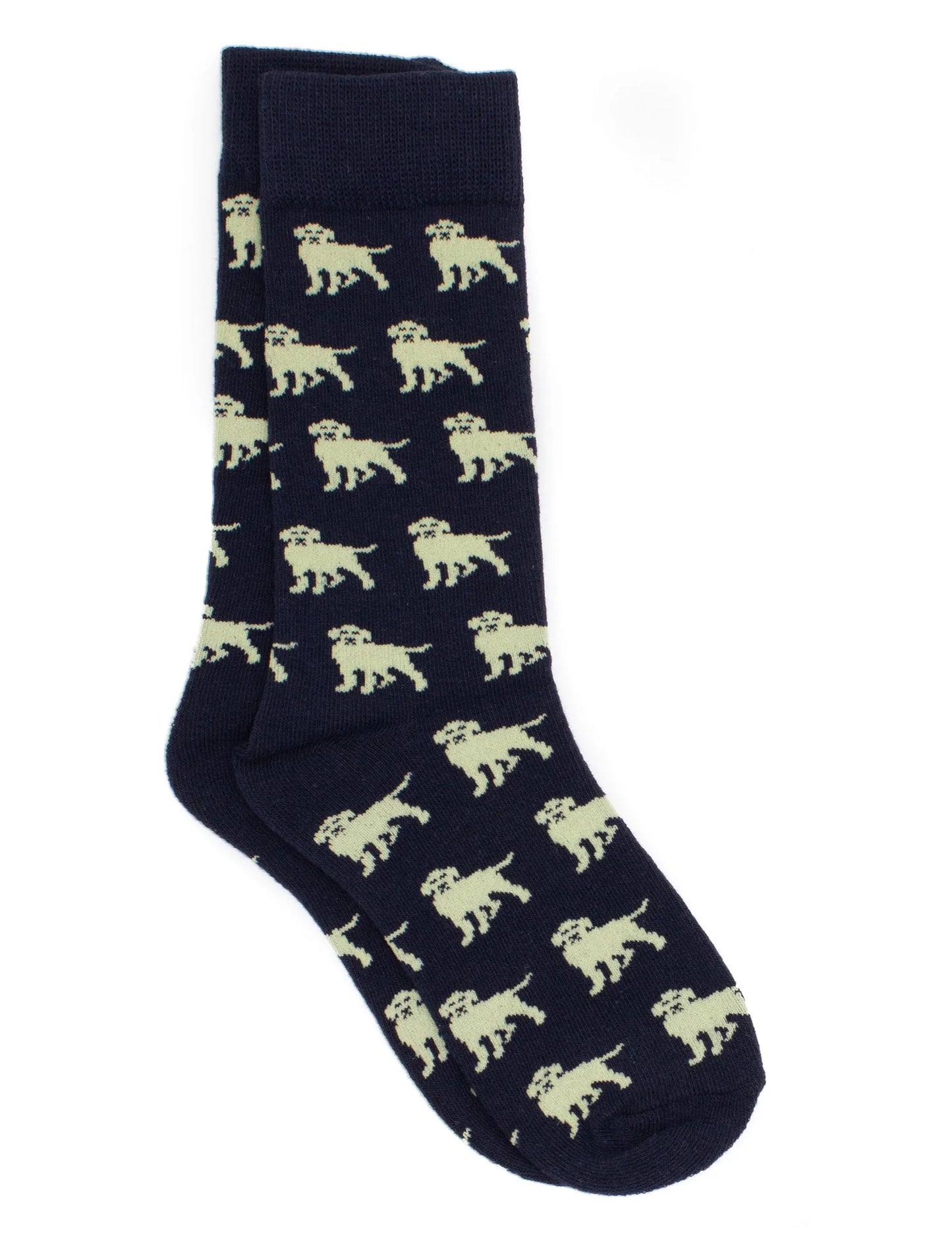 Golden Retriever Lucky Duck Socks - Doodlebug's Children's Boutique