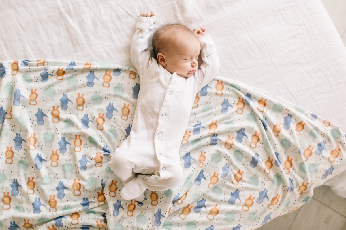 Max Swaddle Blanket - Doodlebug's Children's Boutique
