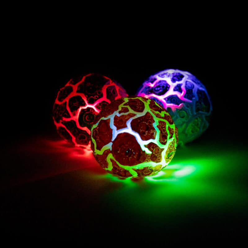 Magma Light Up Nee Doh - Doodlebug's Children's Boutique