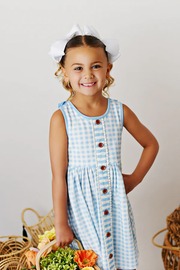 Blue Gingham Dress Blue Gingham Dress