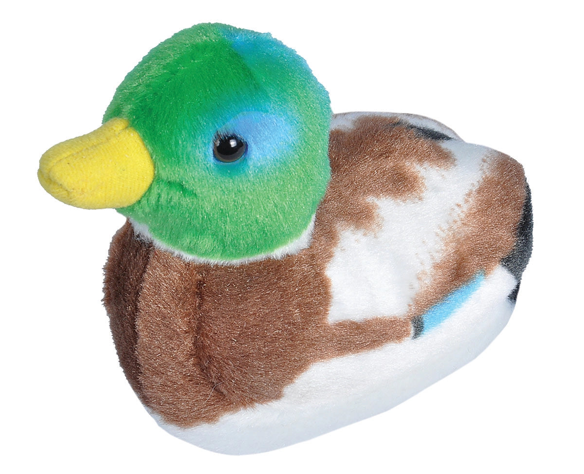 Mallard Duck with Sound - Doodlebug's Children's Boutique