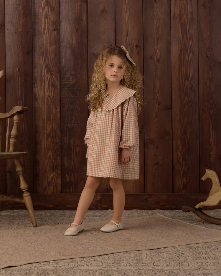Collette Mini Dress in Fawn Gingham