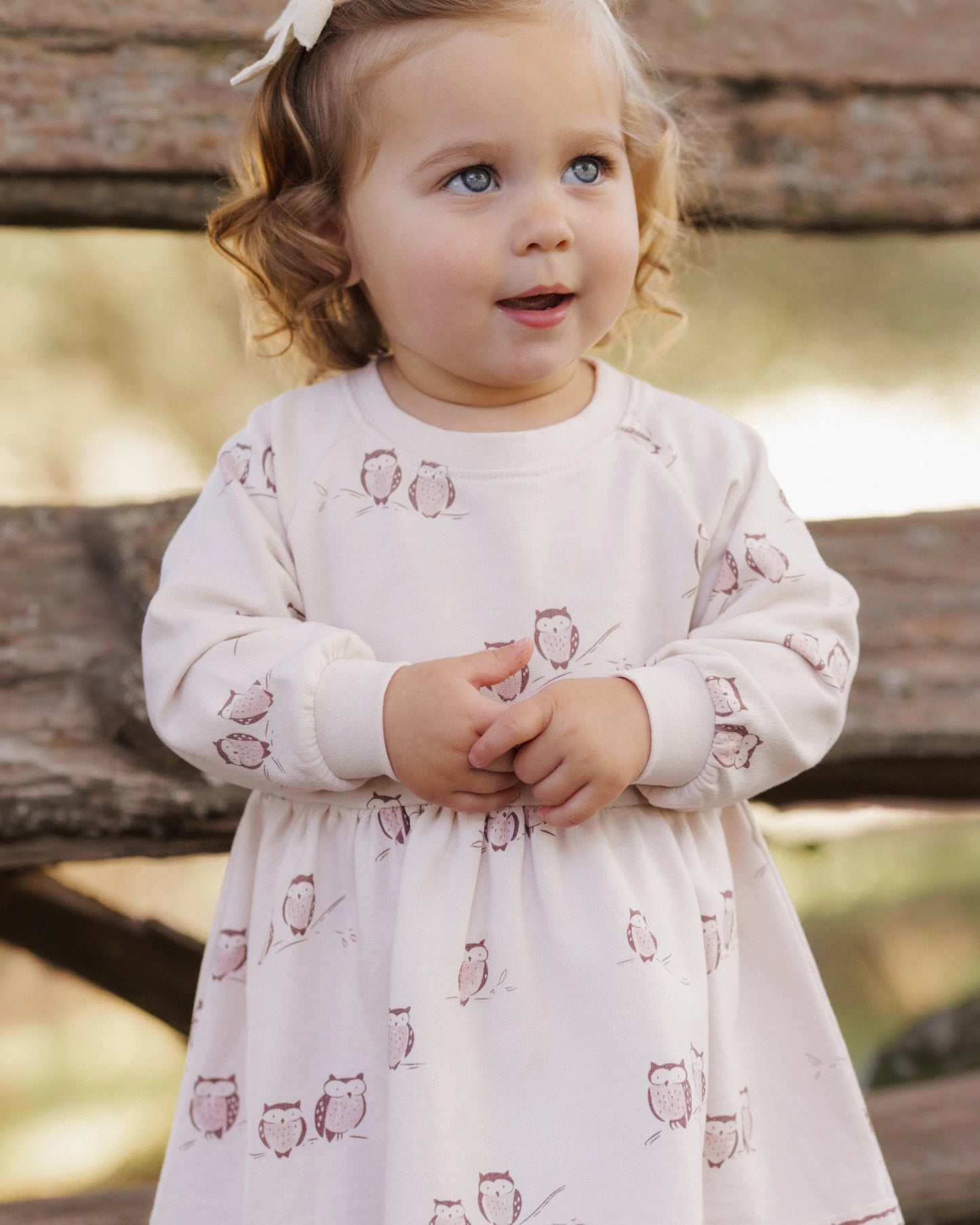 Raglan Dress in Owls