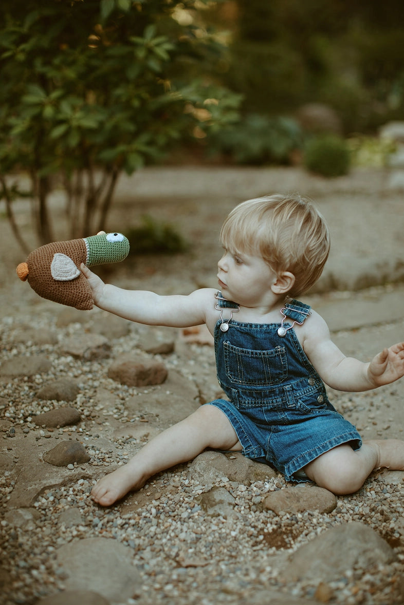 Plush Mallard Duck Rattle  - Doodlebug's Children's Boutique