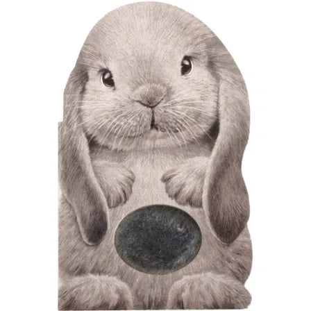 Furry Bunny Book  - Doodlebug's Children's Boutique