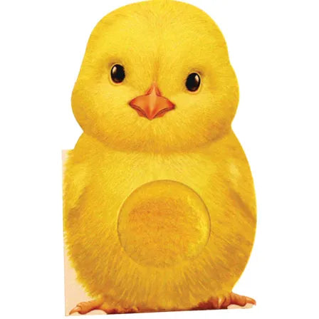 Furry Chick Book  - Doodlebug's Children's Boutique