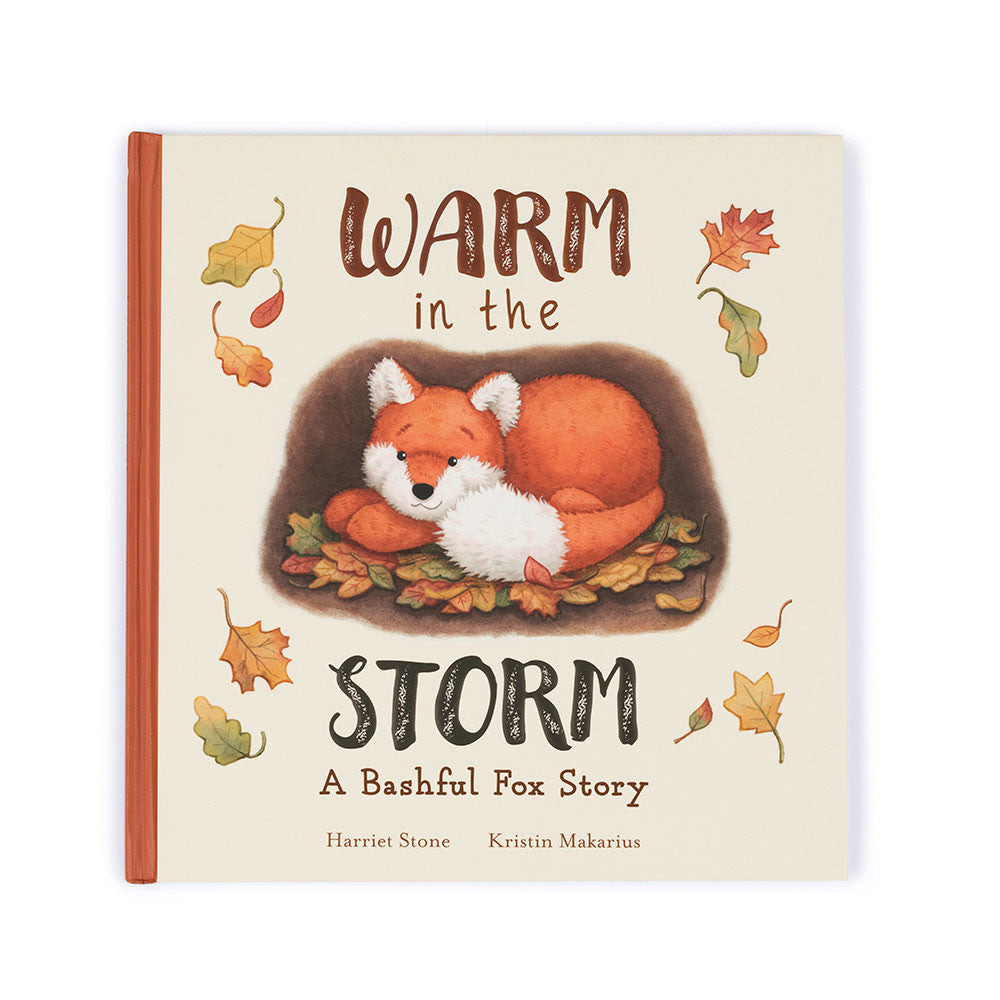 Warm in the Storm Book  - Doodlebug's Children's Boutique