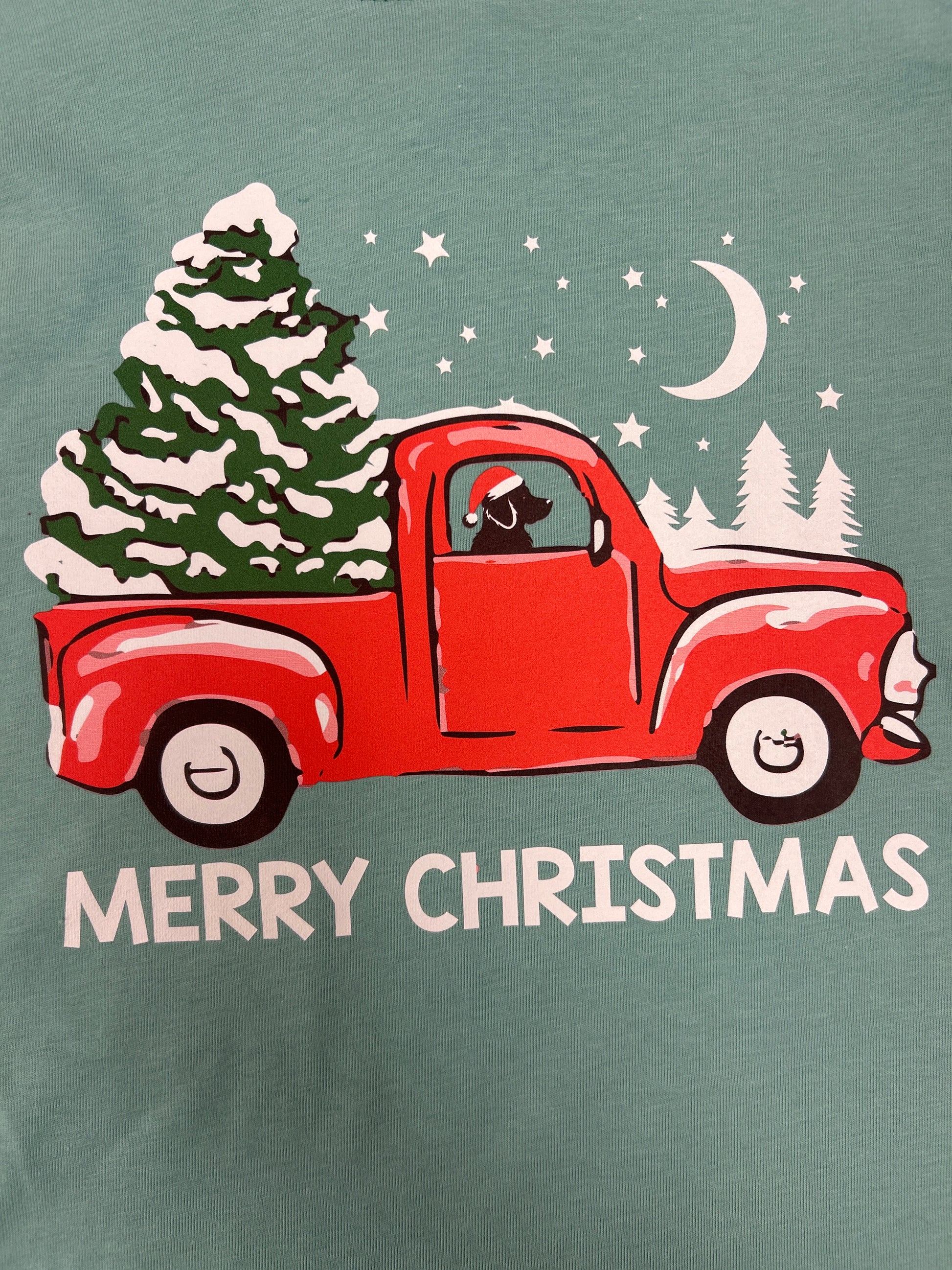 Merry Christmas Truck Long Sleeve Shirt - Doodlebug's Children's Boutique