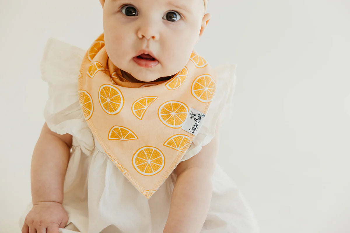 Clementine 4 Pack Bandana Bibs  - Doodlebug's Children's Boutique