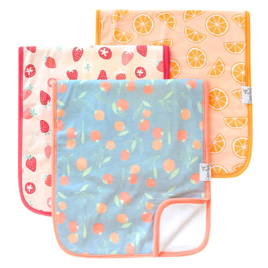 Clementine 3 Pack Burp Cloths  - Doodlebug's Children's Boutique