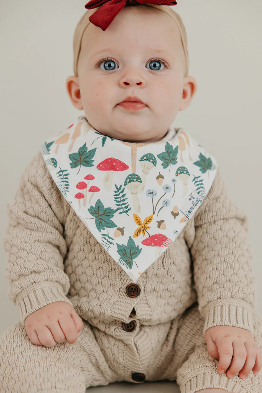 Ivy 4 Pack Bandana Bibs  - Doodlebug's Children's Boutique