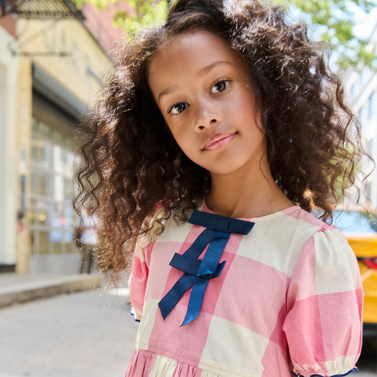Hermione Dress in Pink Checks