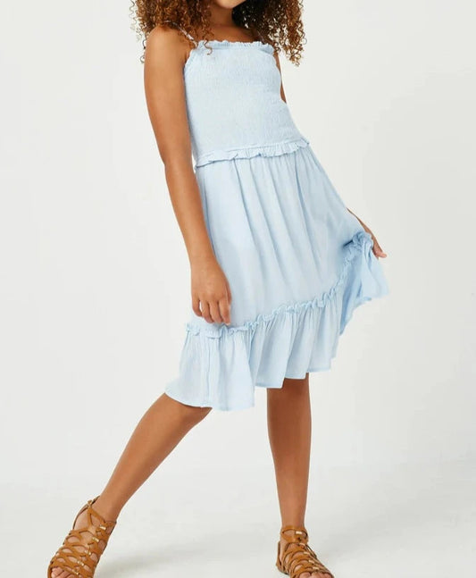 Blue Ruffled Dress  - Doodlebug's Children's Boutique