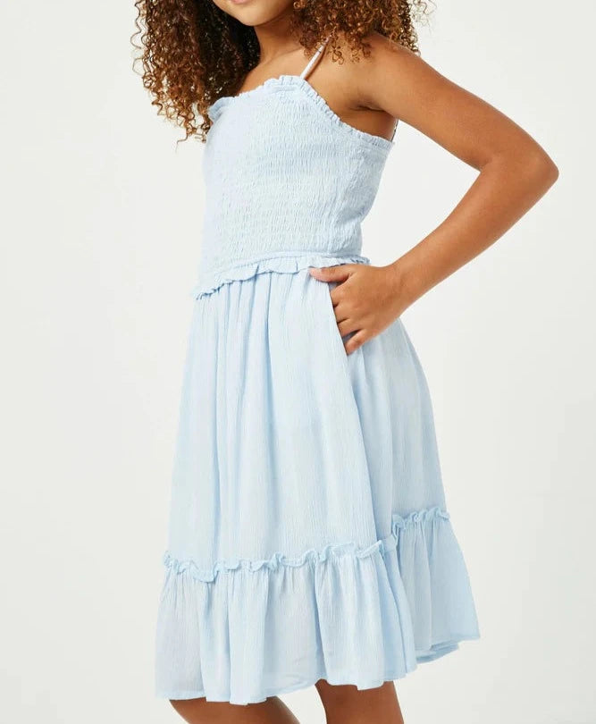 Blue Ruffled Dress  - Doodlebug's Children's Boutique