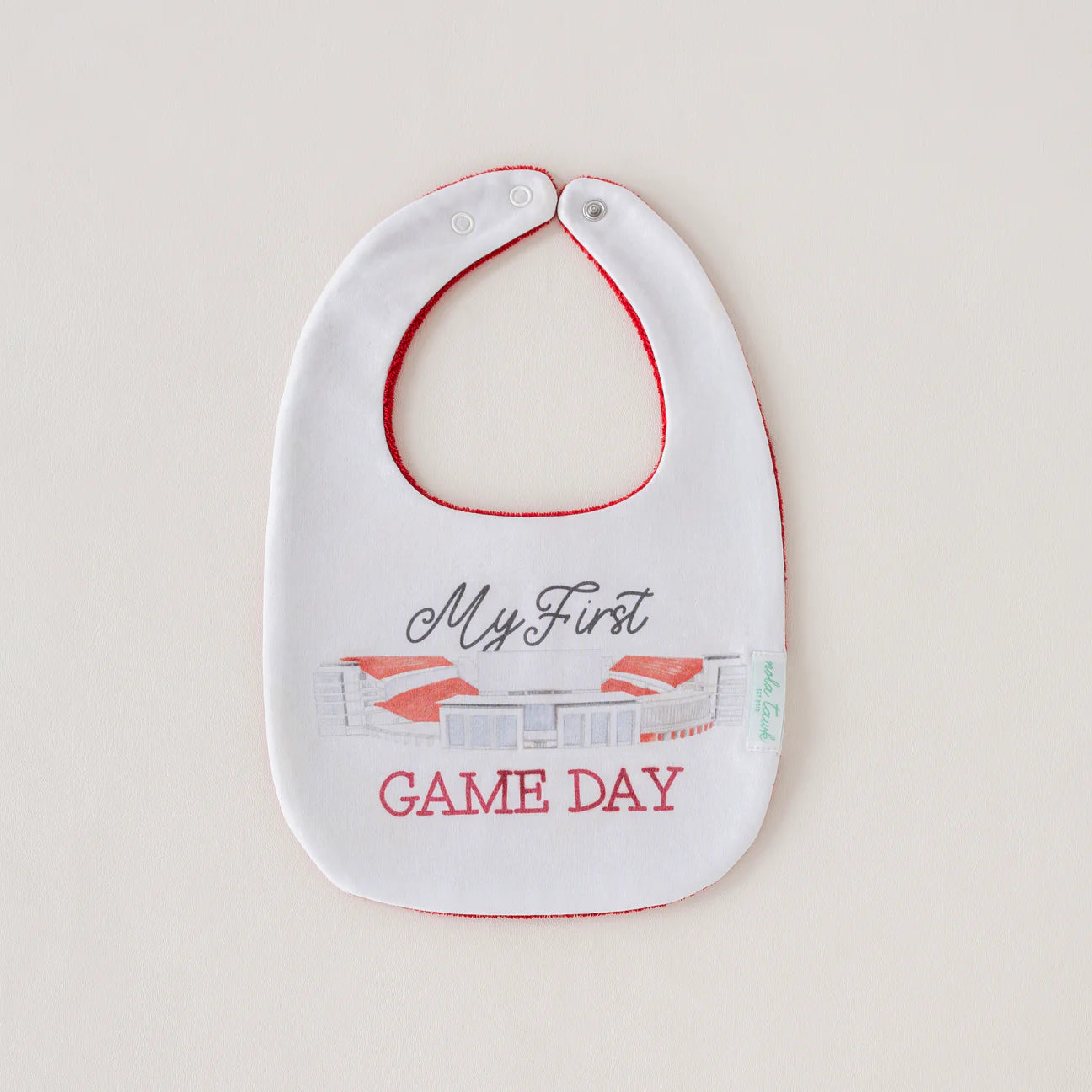Arkansas My First Game Day Organic Cotton Bib - Doodlebug's Children's Boutique