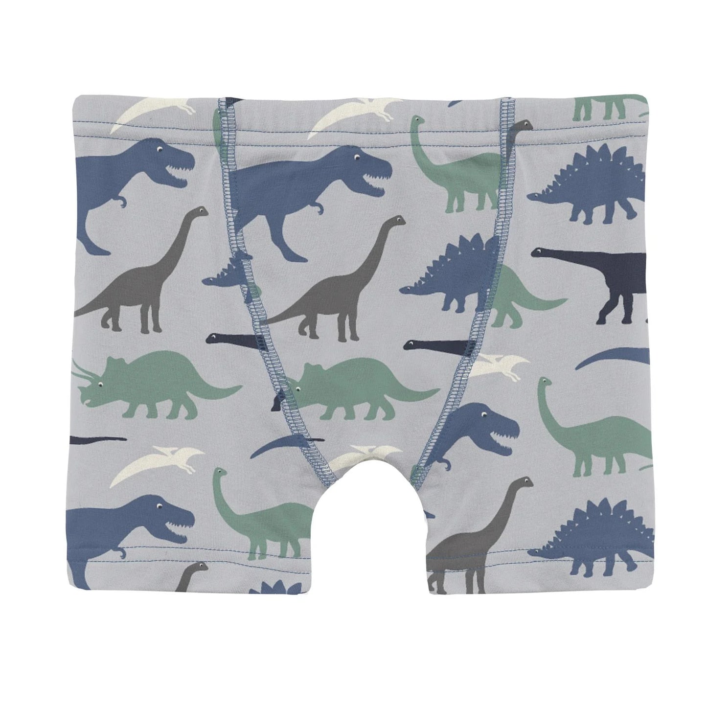 Print Boy's Boxer Brief in Dove Dino Museum - Doodlebug's Children's Boutique