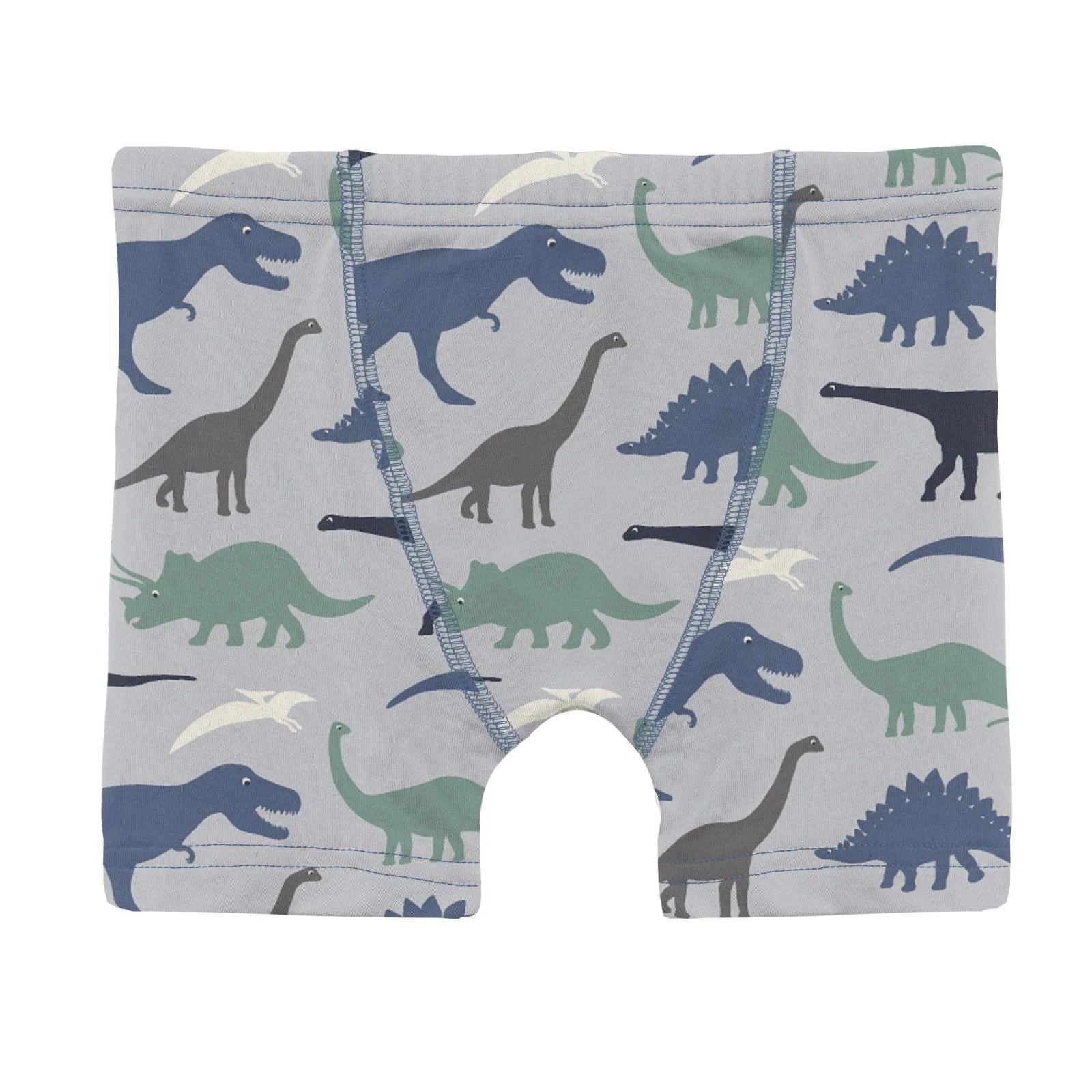 Print Boy's Boxer Brief in Dove Dino Museum - Doodlebug's Children's Boutique