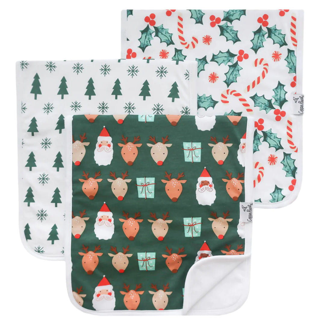 Prancer 3 Pack Burp Cloths  - Doodlebug's Children's Boutique