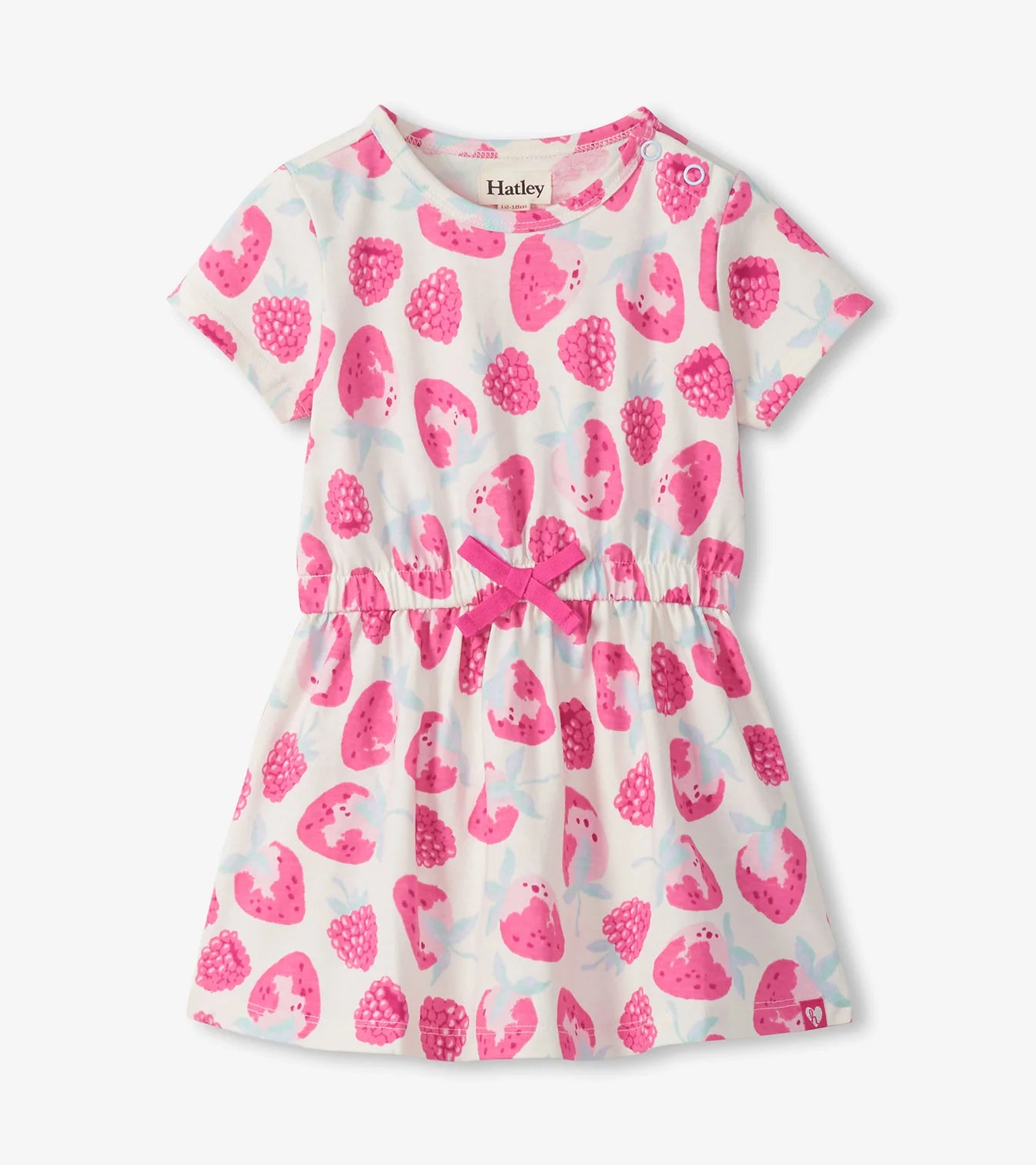 Delicious Berries Dress - Doodlebug's Children's Boutique
