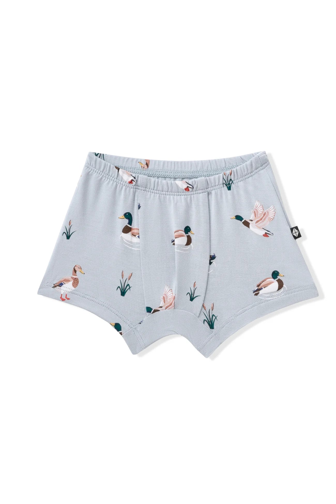 Briefs in Mallard Duck - Doodlebug's Children's Boutique