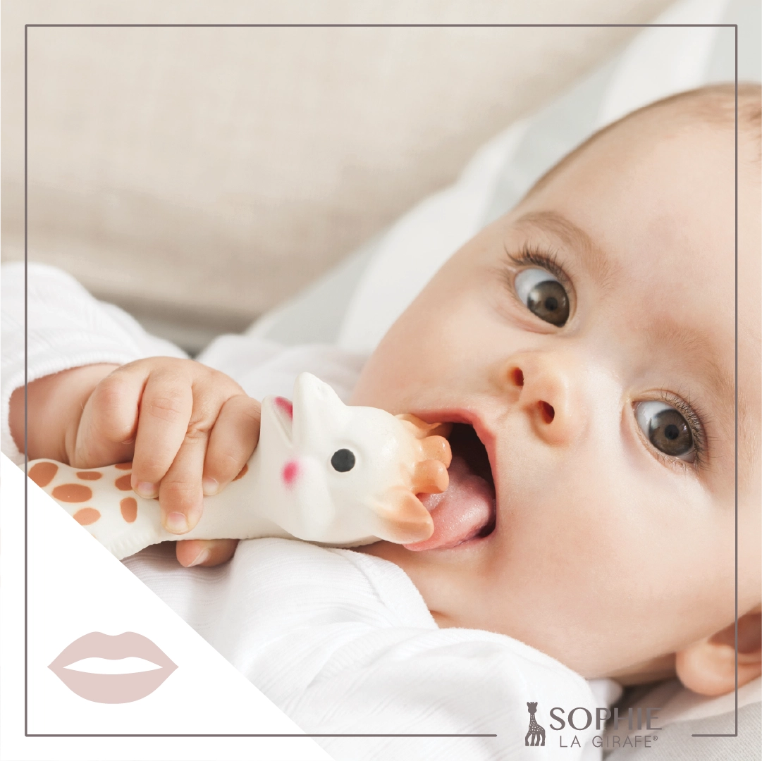 Sophie La Girafe - Doodlebug's Children's Boutique