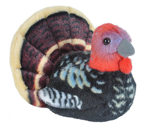 Wild Turkey with Sound - Doodlebug's Children's Boutique