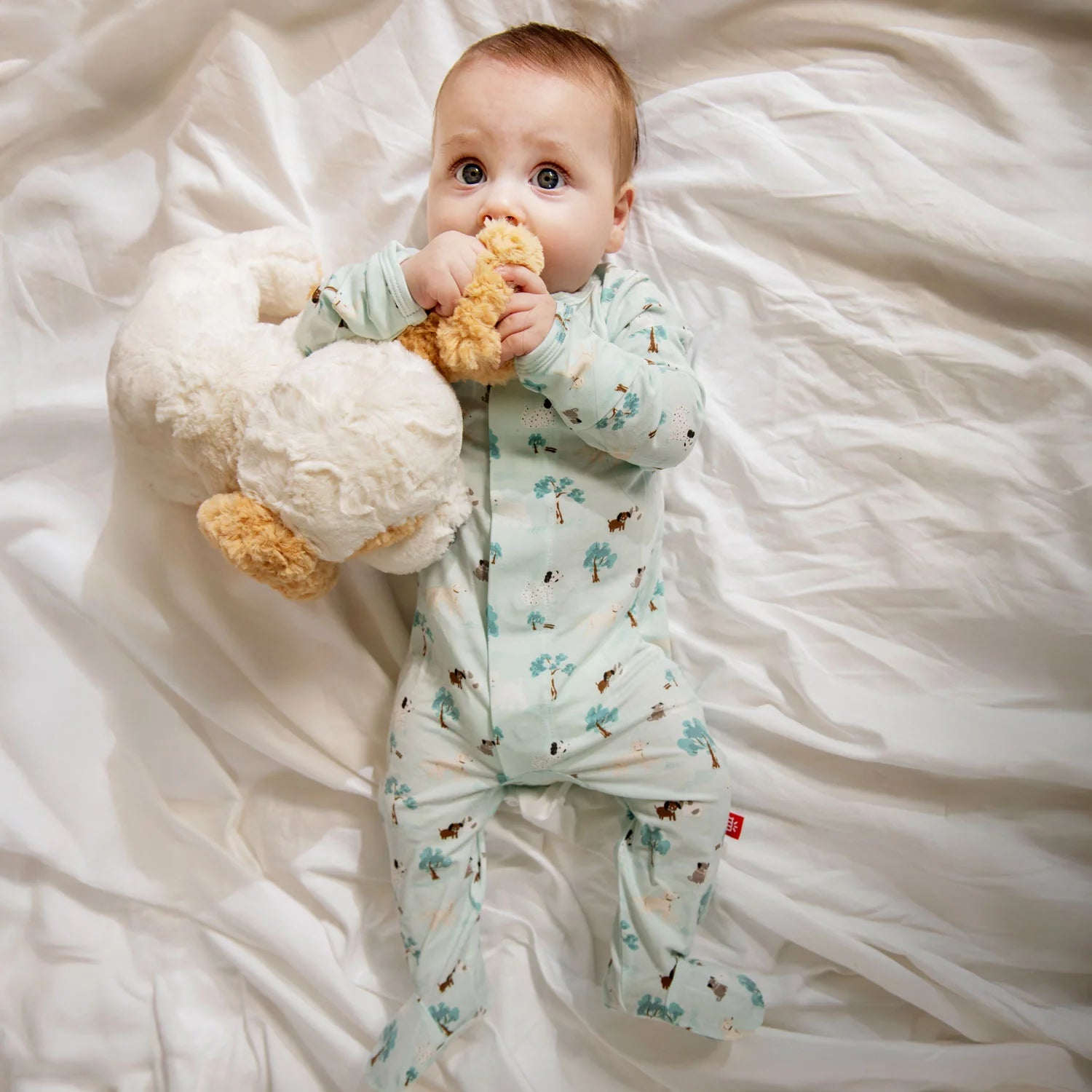 Central Bark Modal Magnetic Footie - Doodlebug's Children's Boutique