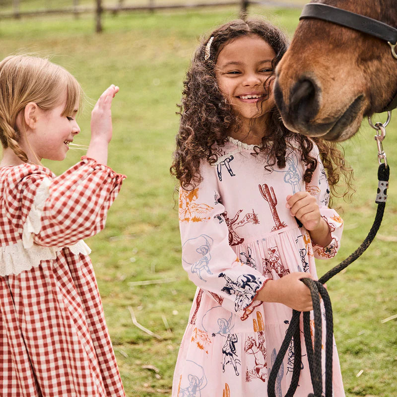 Charlie Dress in Pink Cowgirls  - Doodlebug's Children's Boutique