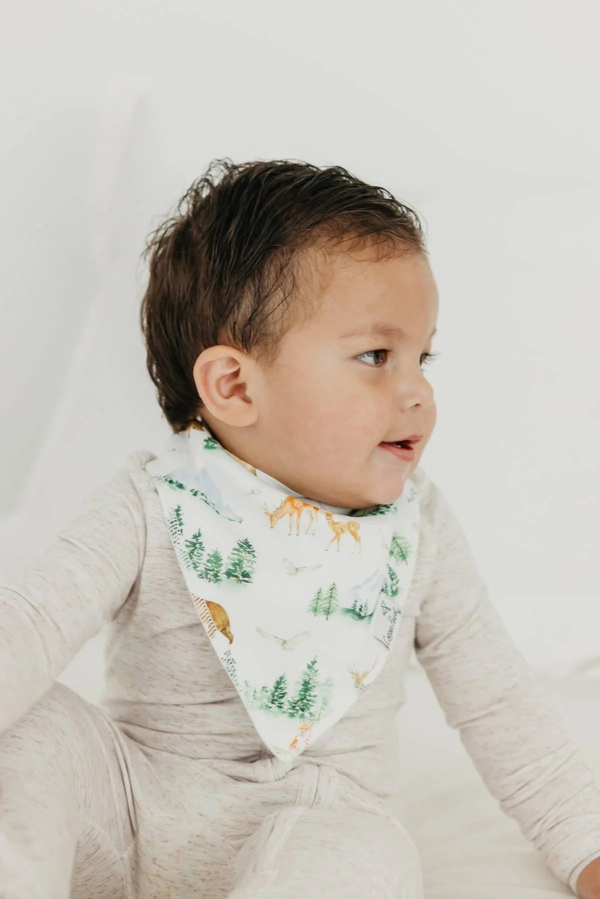 Grayson 4 Pack Bandana Bibs - Doodlebug's Children's Boutique