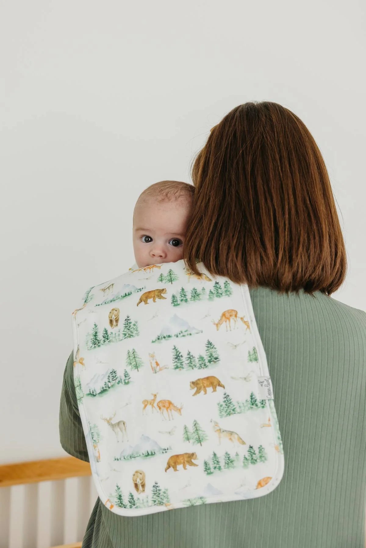 Grayson 3 Pack Burp Cloths - Doodlebug's Children's Boutique