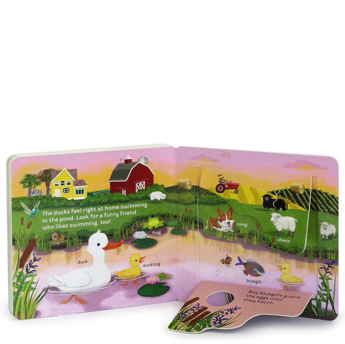 Peek-a-Flap Moo Book  - Doodlebug's Children's Boutique