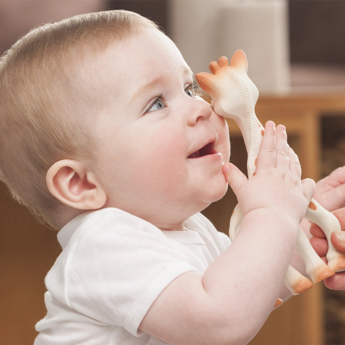 Sophie La Girafe - Doodlebug's Children's Boutique