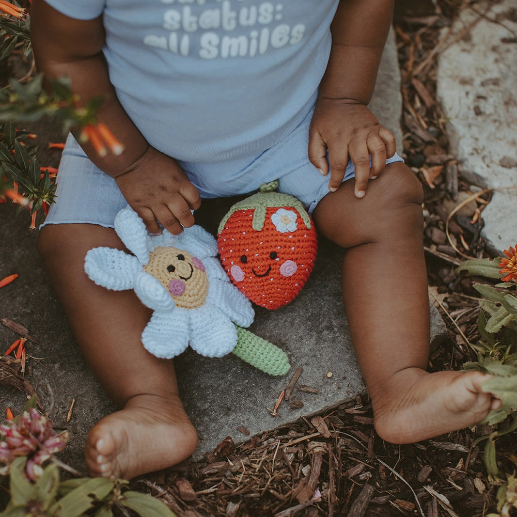 Plush Daisy Flower Rattle - Doodlebug's Children's Boutique