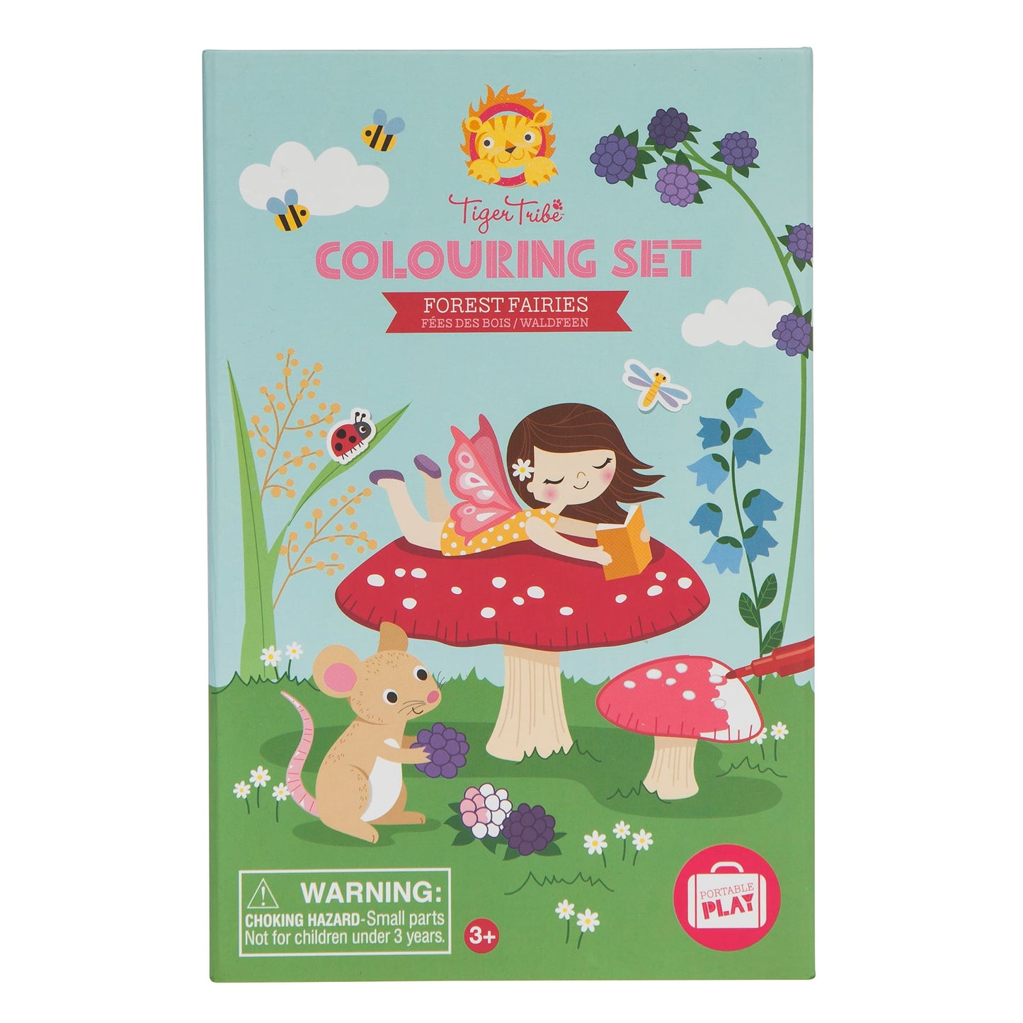 Forest Fairies Coloring Set  - Doodlebug's Children's Boutique