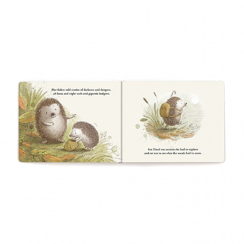 Hedgehog's Big Adventure Book  - Doodlebug's Children's Boutique