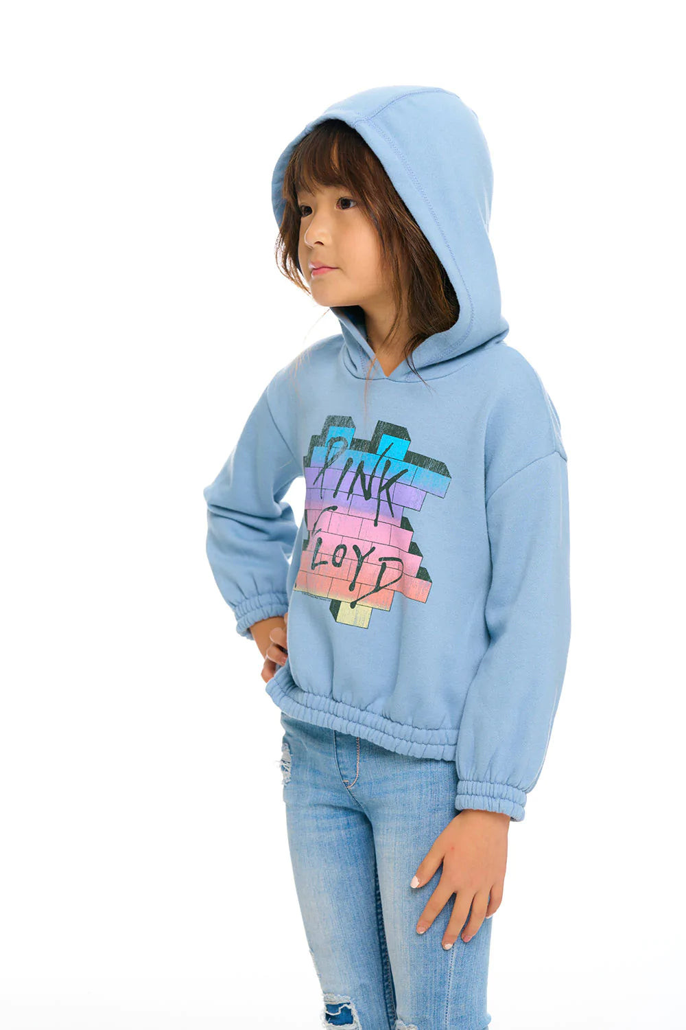 Pink Floyd Cropped Hoodie  - Doodlebug's Children's Boutique