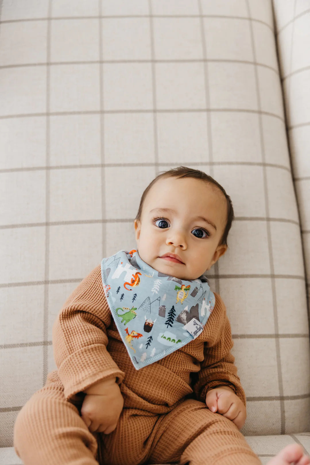 Viking 4 Pack Bandana Bibs  - Doodlebug's Children's Boutique