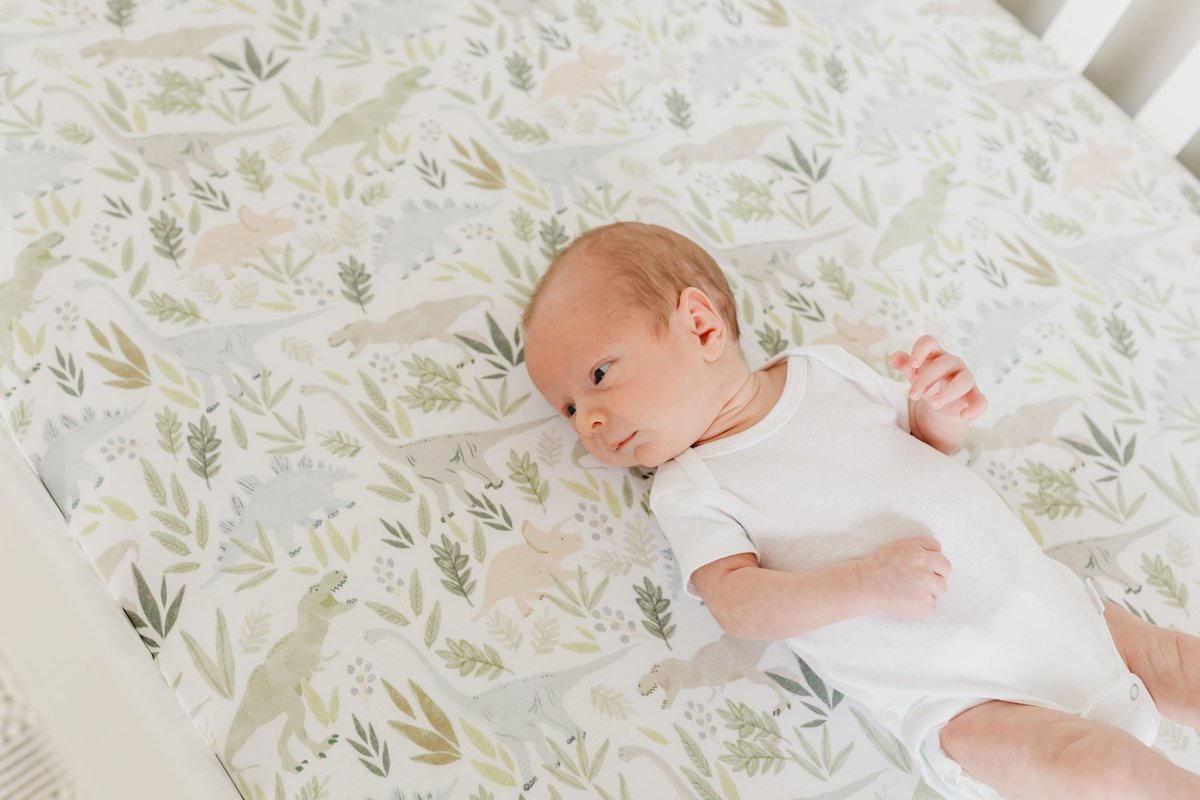 Rex Fitted Crib Sheet  - Doodlebug's Children's Boutique