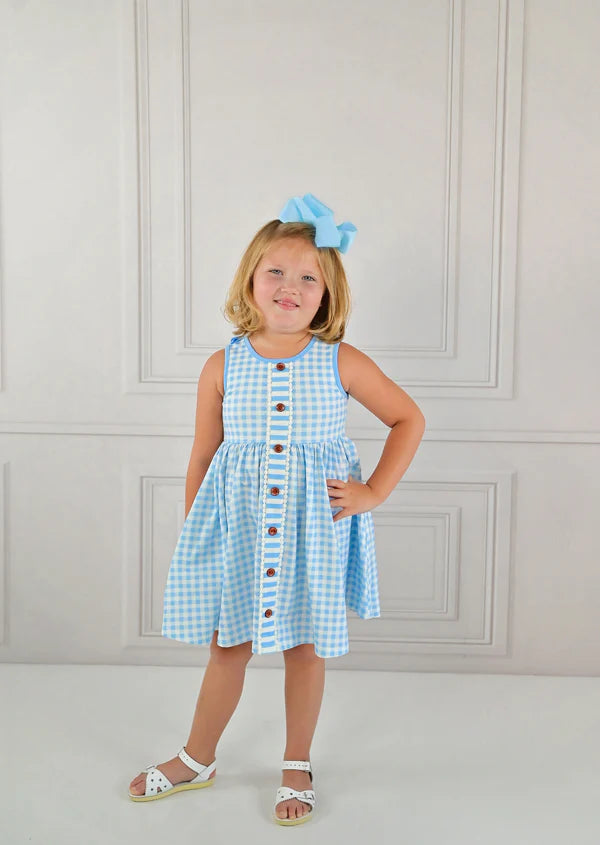Blue Gingham Dress  - Doodlebug's Children's Boutique