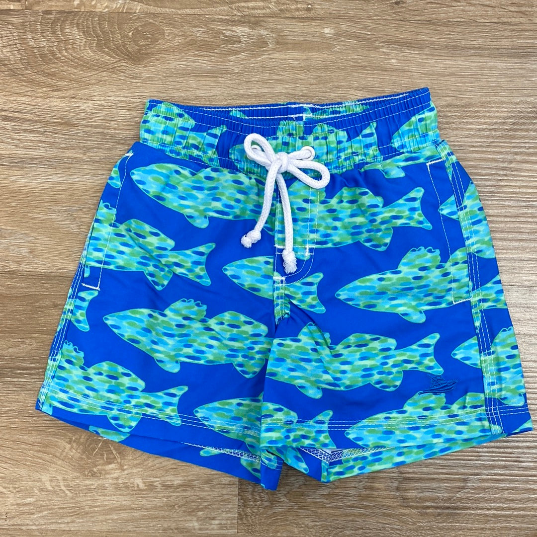Swim Trunks in Watercolor Fish – Doodlebug's & Grow Children's Boutique